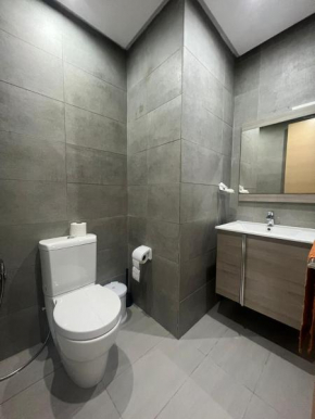 Shiny appartment in Prestigia